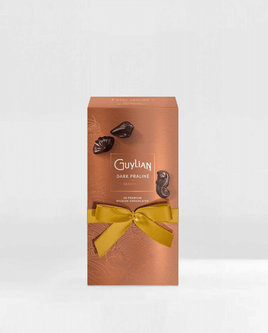 Guylian Belgian Dark Praline Seashells 7.94oz Gift Box