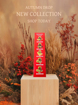 Saronno 5 Pieces Panettone Assortment 17.6oz Gift Box:  Classic, Chocolate, Limoncello, Salted Caramel, Pistachio Cream